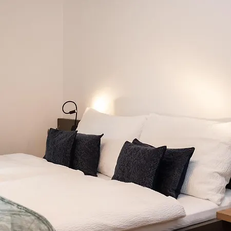 Apartment Moos Ried im Zillertal